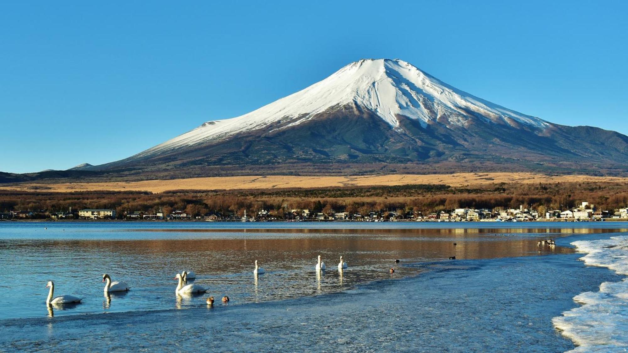 Toyoko Inn Shin-Fuji-Eki Minami-Guchi Fuji  Exteriör bild